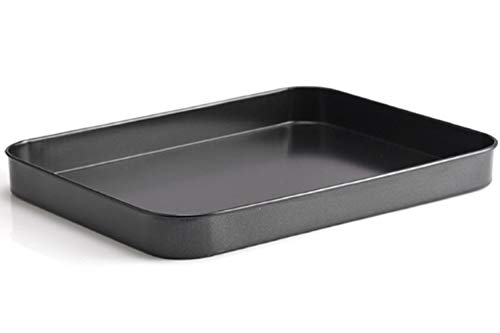 WENTS mini-bakplaat, roestvrij staal, kleine bakvorm, ovenplaat, rechthoekig mini-ovenschaal om te bakken koken, serveren, 24,5 x 18,8 x 2,5 cm